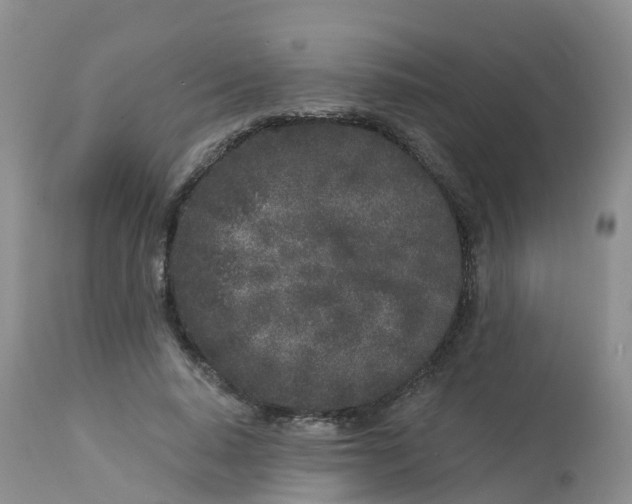 X0000113100640200909111052