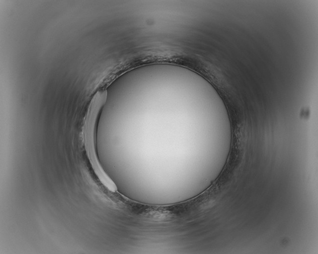 X0000113100642200909111052