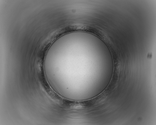 X0000113100643200909111052