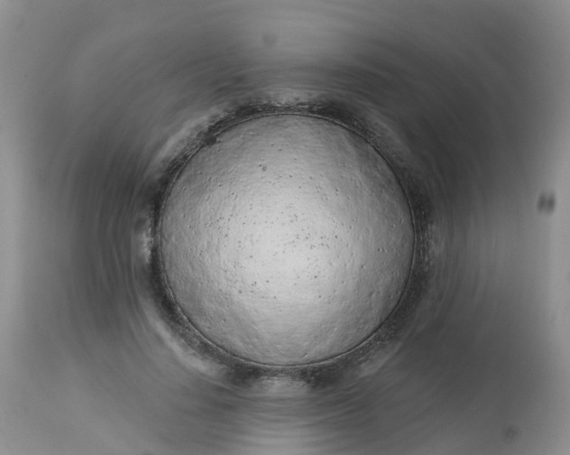 X0000113100644200909111052