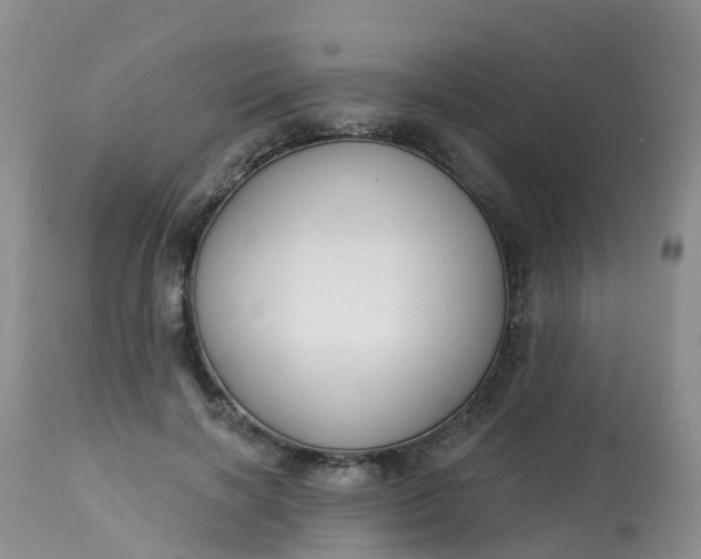 X0000113100646200909111052
