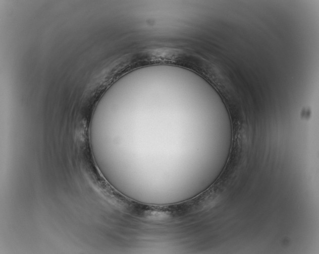 X0000113100649200909111052