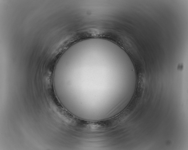 X0000113100650200909111052