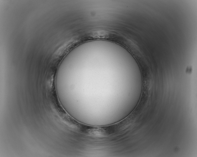 X0000113100652200909111052