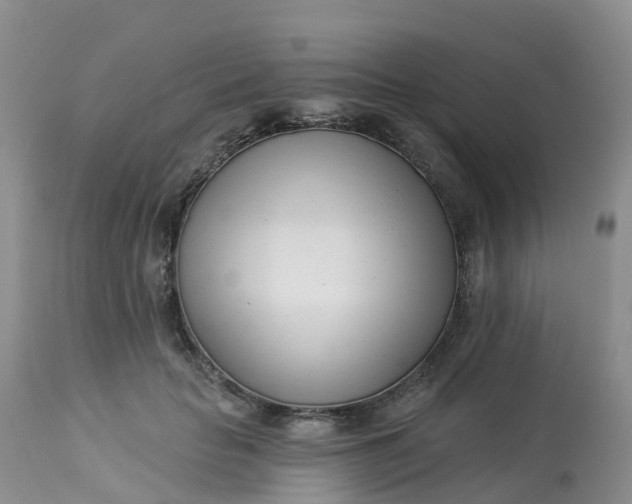 X0000113100653200909111052
