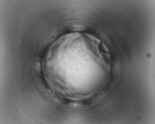 X0000113100655200909111052