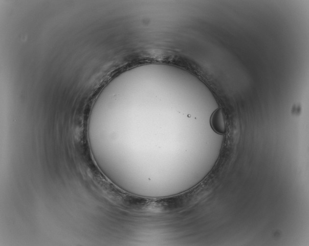 X0000113100656200909111052