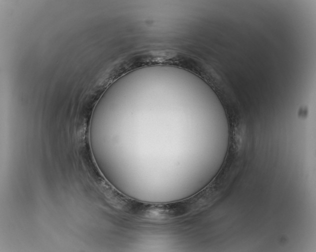 X0000113100657200909111052