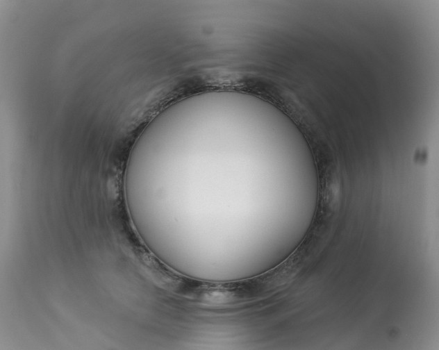 X0000113100658200909111052