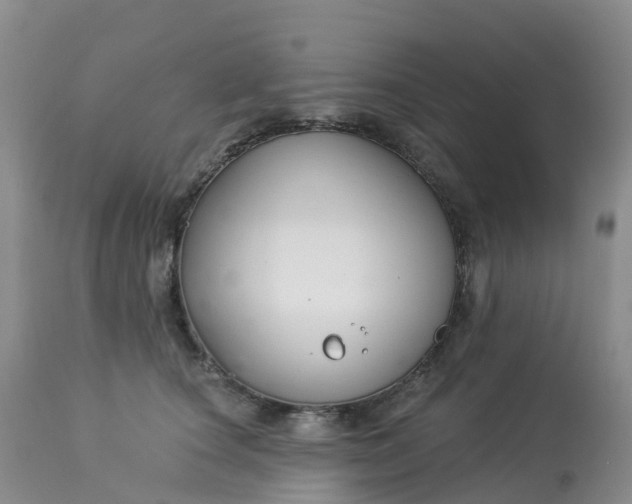 X0000113100660200909111052