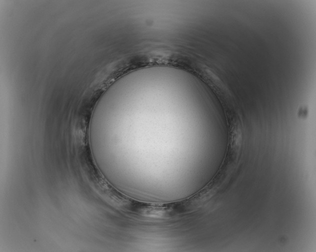 X0000113100661200909111052