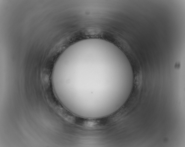 X0000113100662200909111052