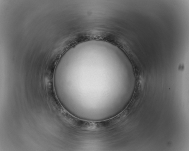 X0000113100663200909111052