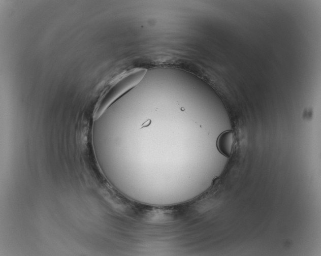 X0000113100664200909111053