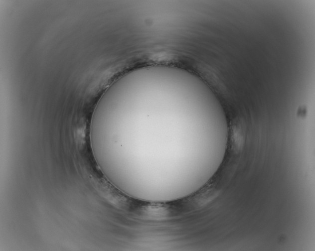 X0000113100668200909111053