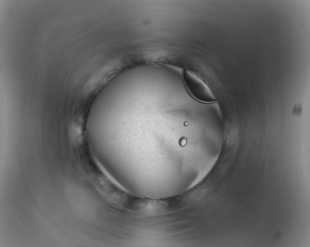 X0000113100670200909111053