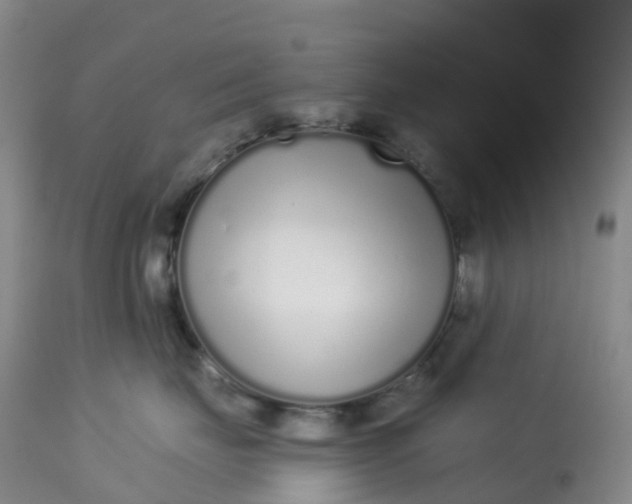 X0000113100671200909111053