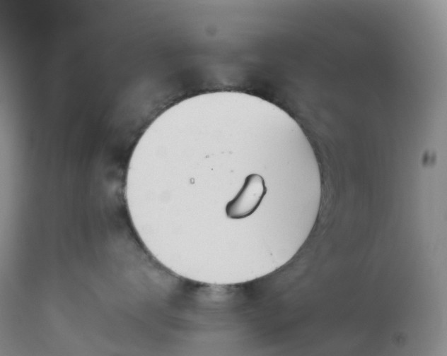 X0000113100672200909111053
