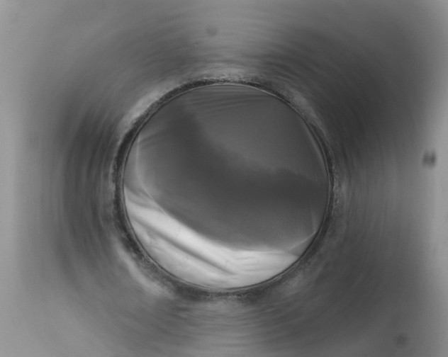 X0000113100674200909111052