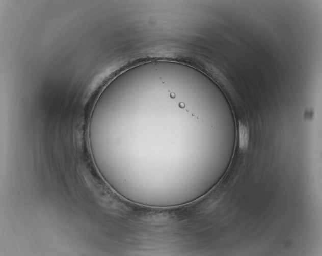 X0000113100675200909111052