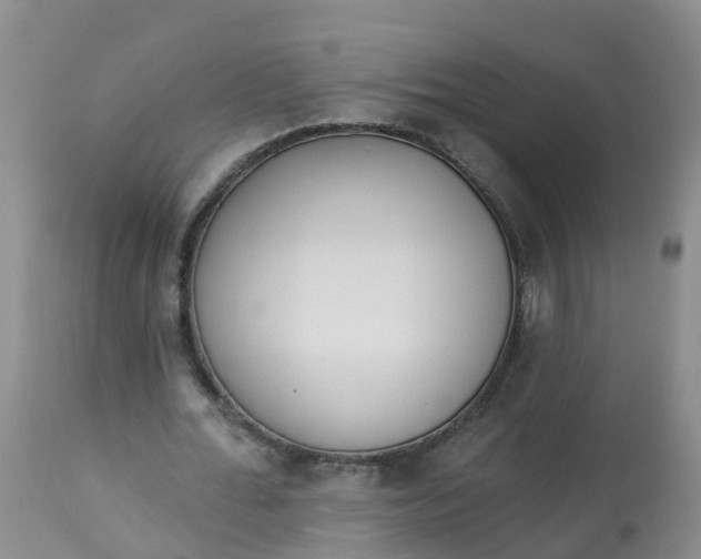 X0000113100676200909111052