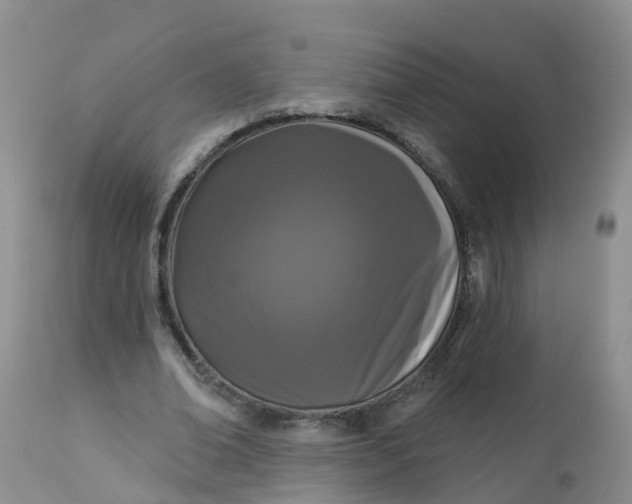 X0000113100678200909111051