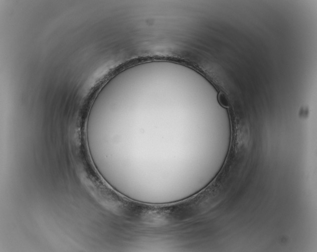 X0000113100680200909111051