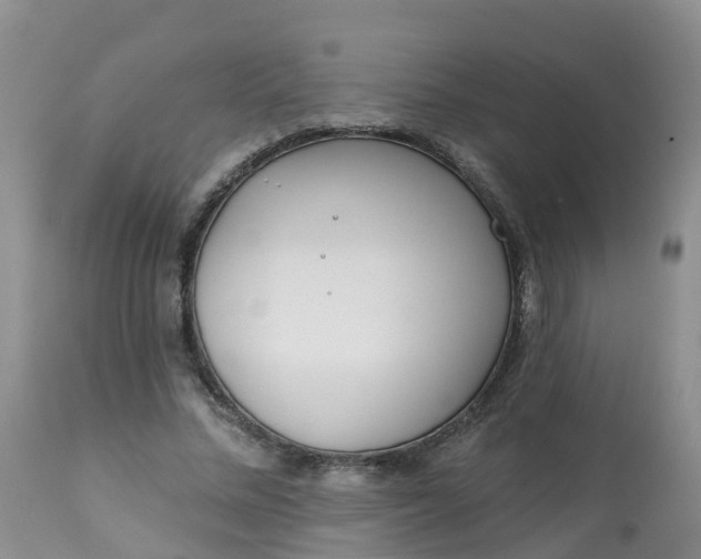 X0000113100684200909111051