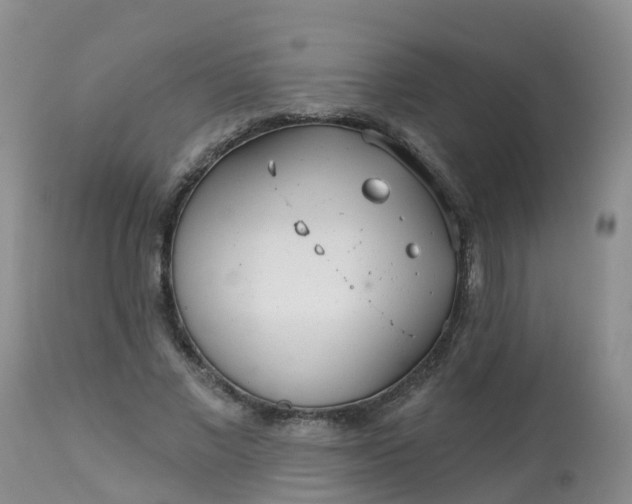 X0000113100685200909111051