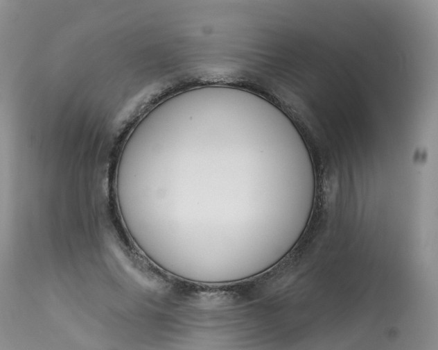 X0000113100686200909111051