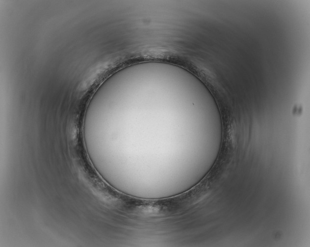 X0000113100687200909111051