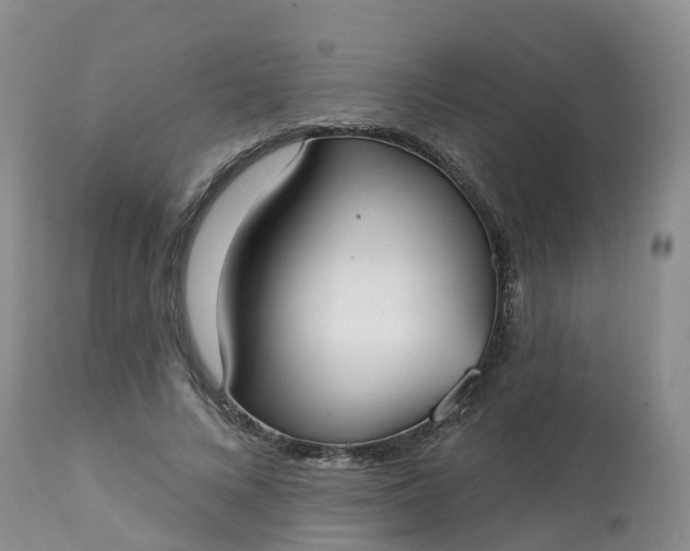 X0000113100688200909111051