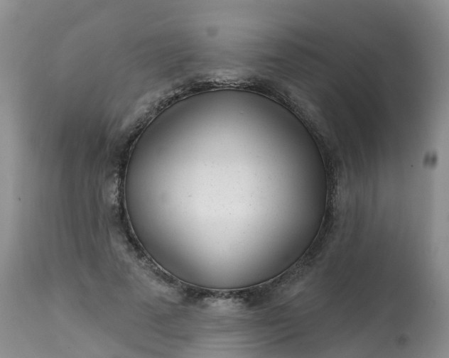 X0000113100689200909111051