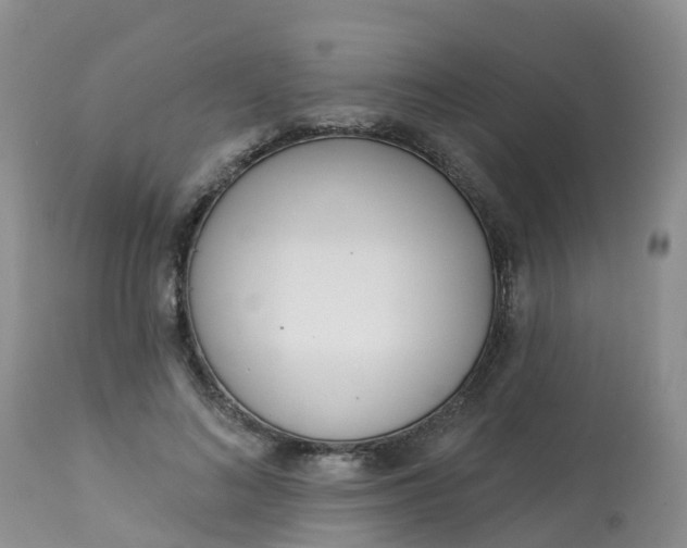 X0000113100692200909111051