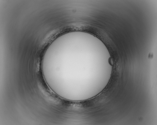 X0000113100694200909111051
