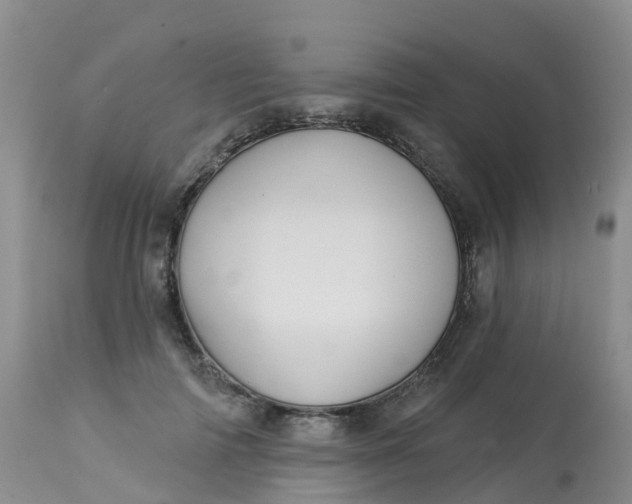 X0000113100698200909111051