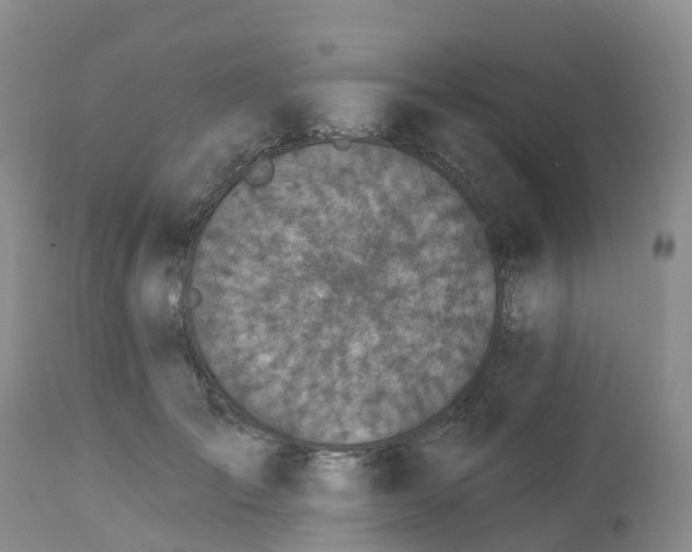 X0000113100701200909111051