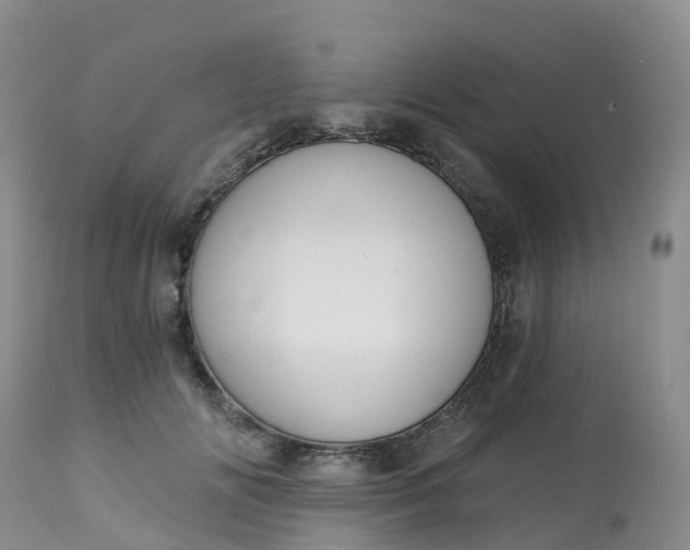 X0000113100702200909111051