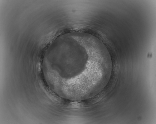 X0000113100703200909111051