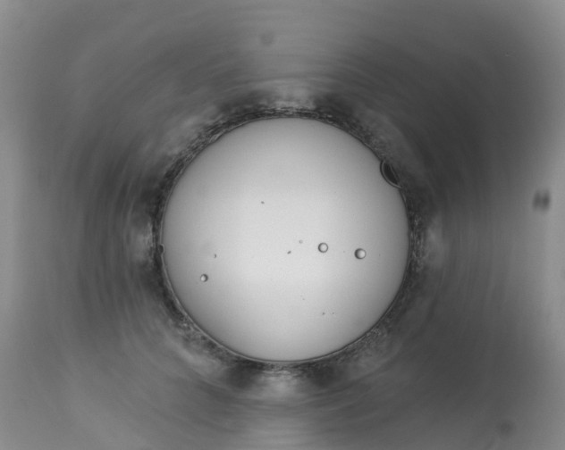 X0000113100704200909111051