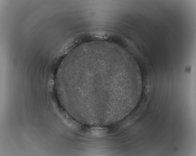 X0000113100707200909111051