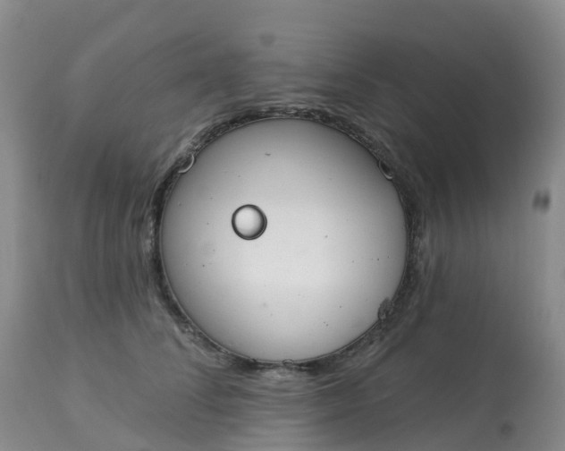 X0000113100708200909111051