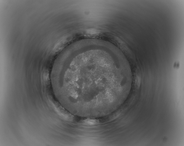 X0000113100711200909111051