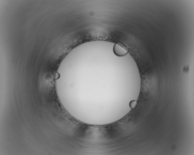 X0000113100713200909111051