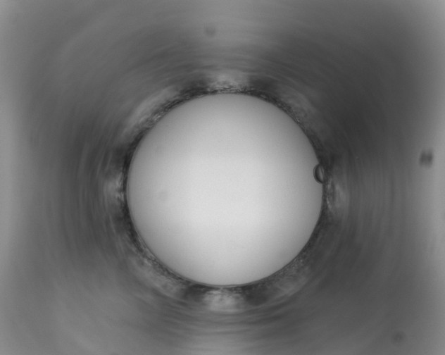 X0000113100714200909111051