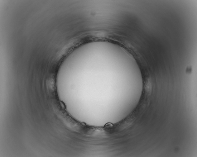 X0000113100715200909111051