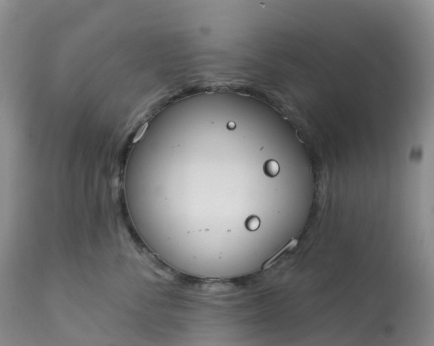 X0000113100716200909111051