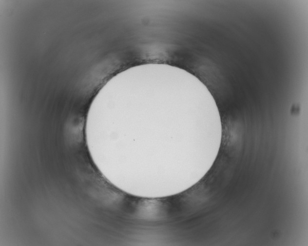 X0000113100717200909111051