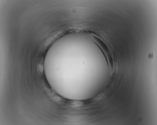 X0000113100719200909111051