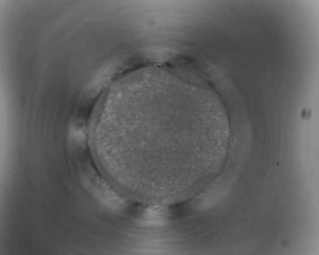 X0000113100720200909111051